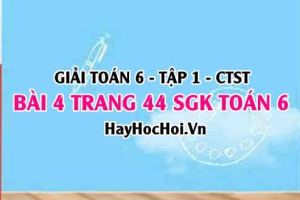 Giải bài 4 trang 44 Toán 6 Tập 1 SGK Chân trời sáng tạo